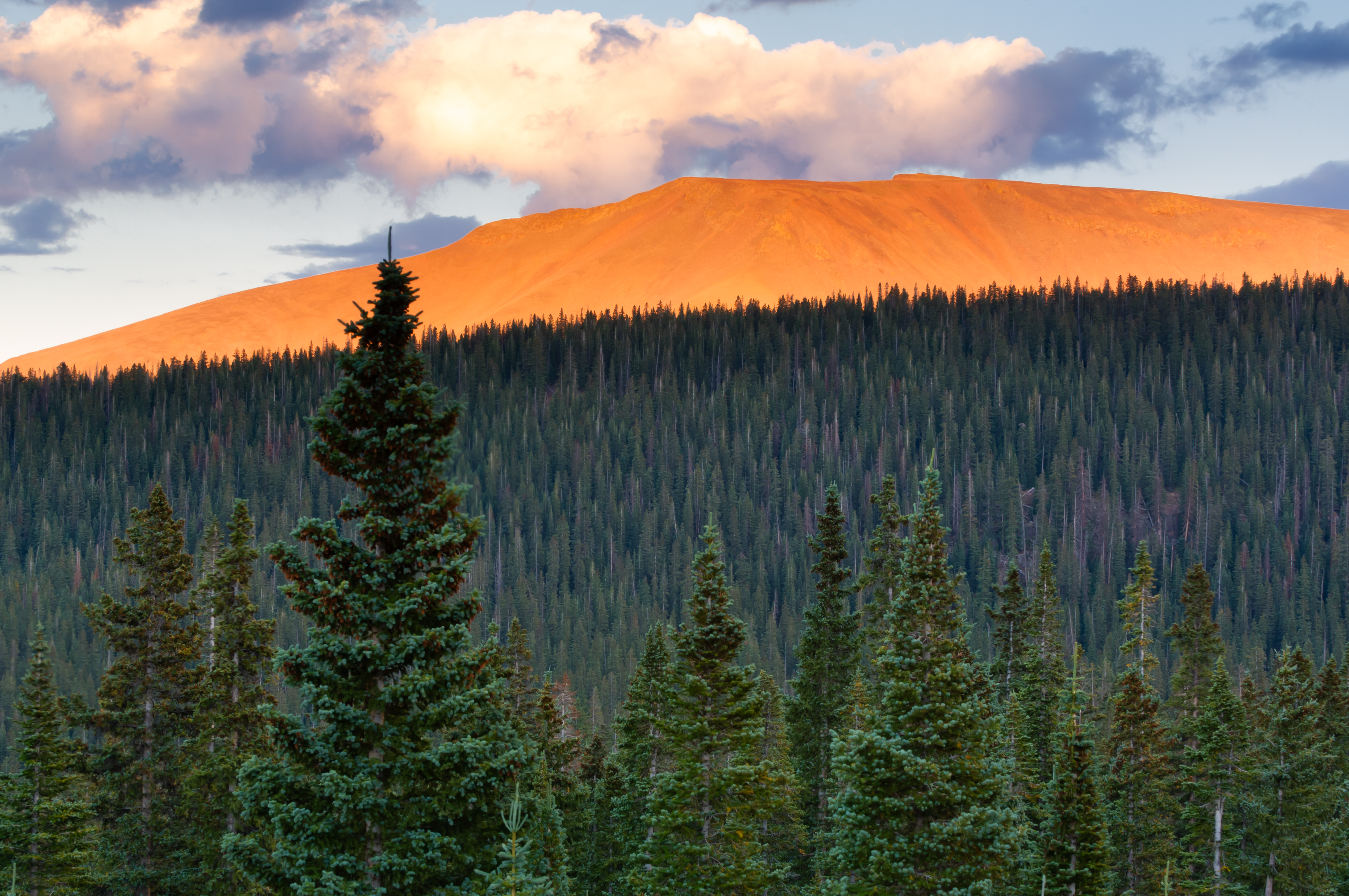 Fiery Mountain in the National Forest in Colorado