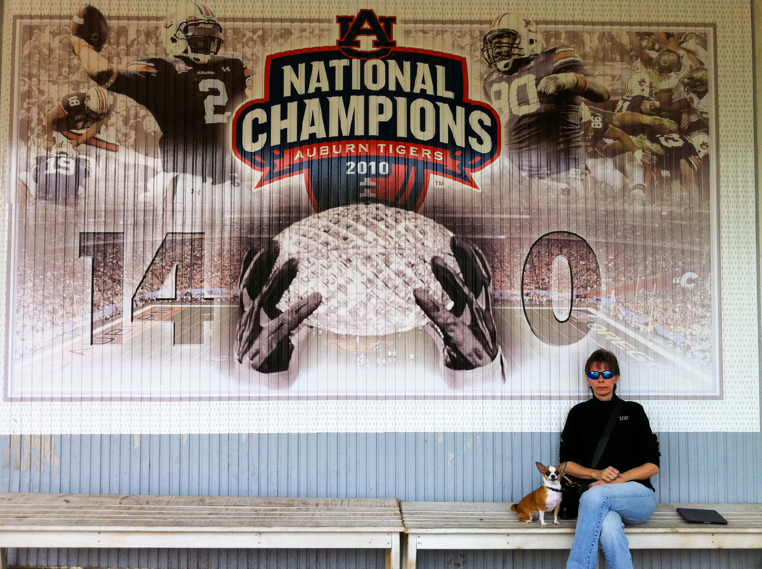 Toomer's Corner Auburn National Championship Mural