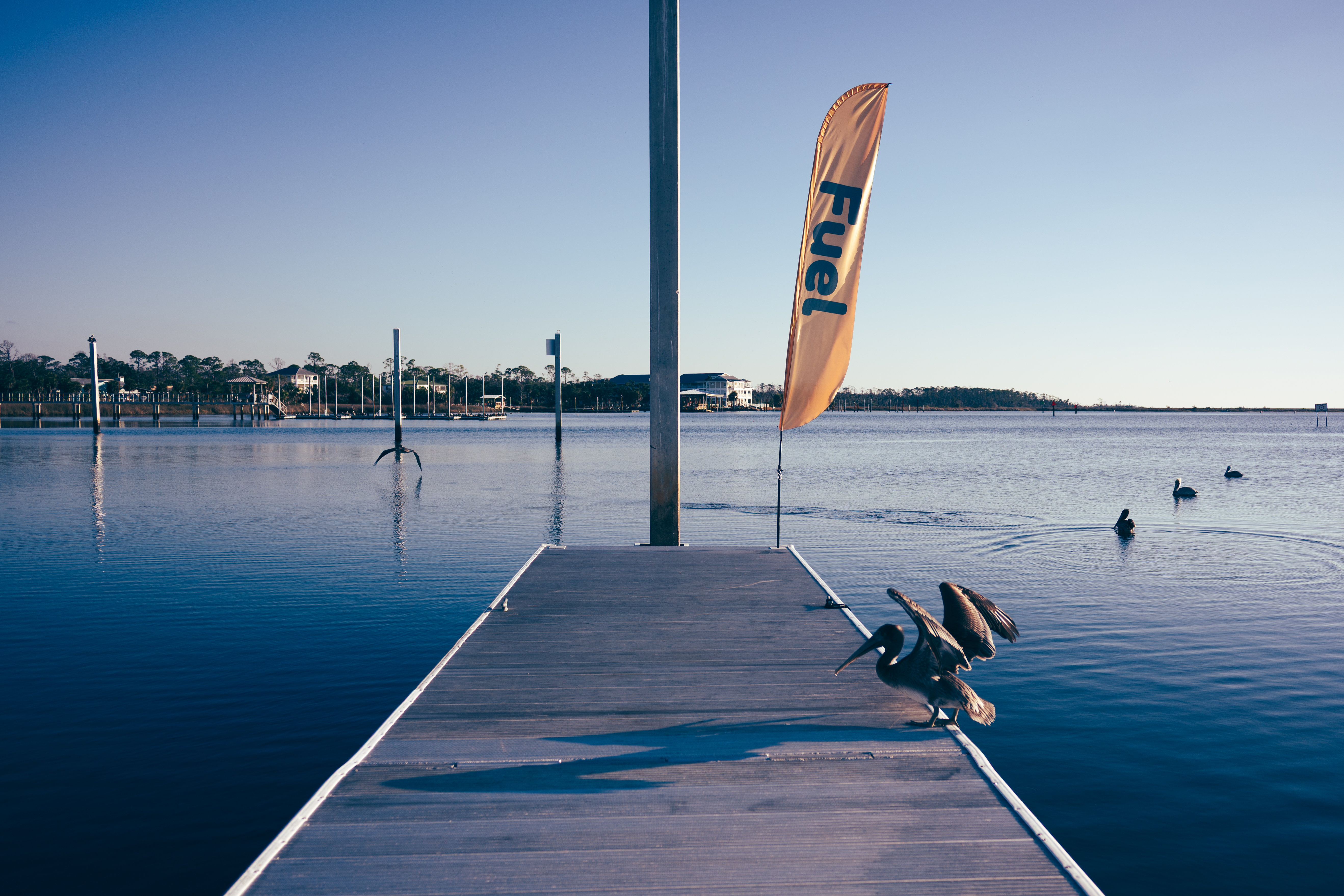 Driving Around Florida Day 1