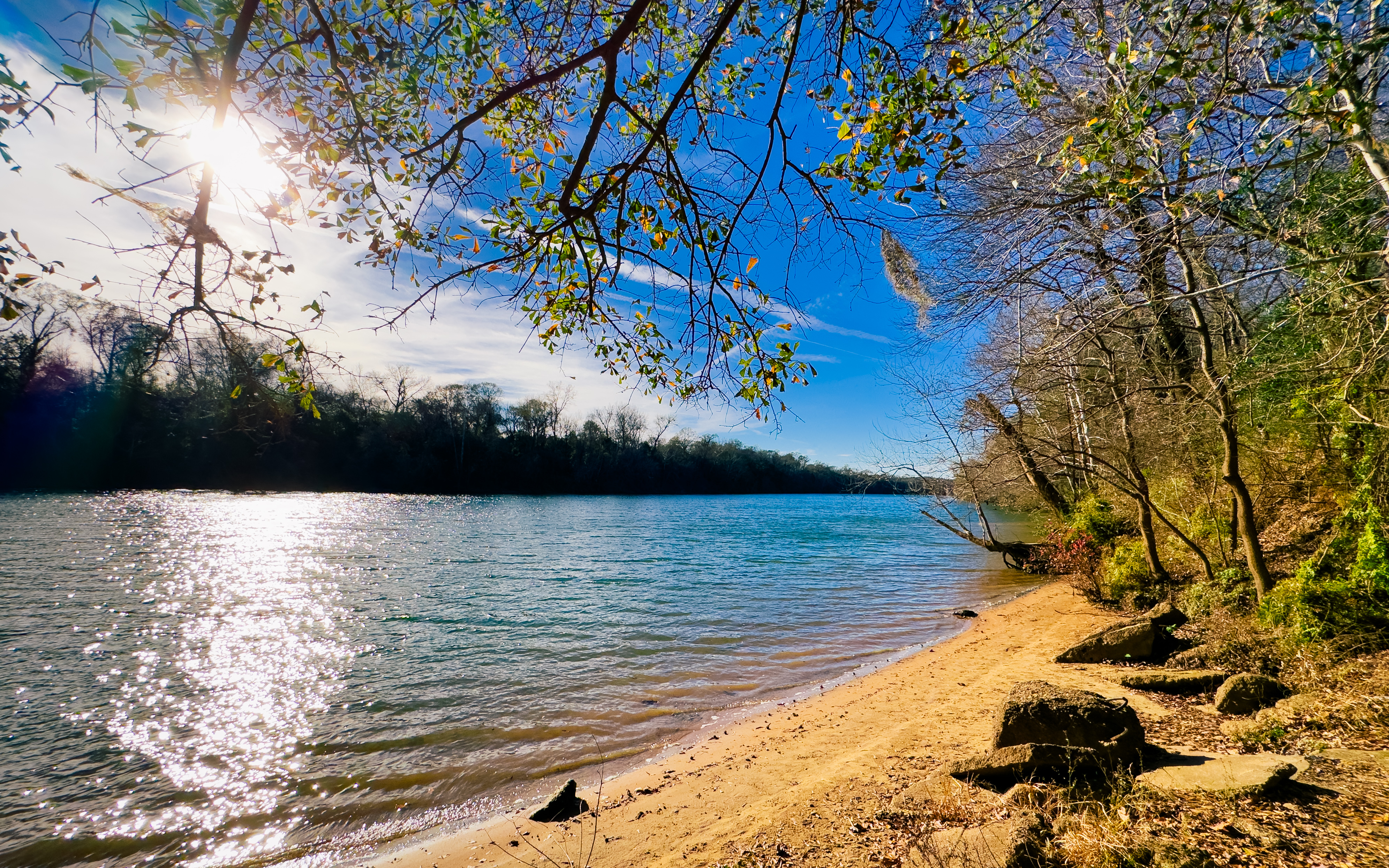A Walk Along the Chattahoochee River